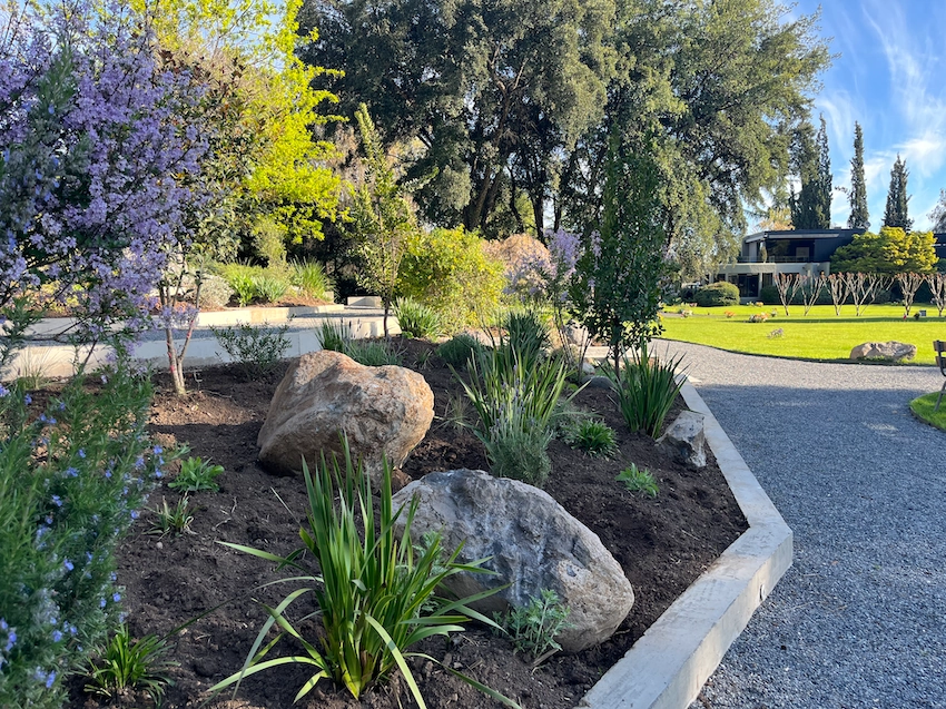 Jardines y naturaleza en nuestros parques